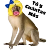 Tóxicas 29