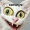 QXyaFMN_by_achestickbot 27