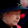 Rainha Elizabeth 7