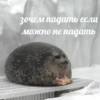 💡 Цитаты @sticker_emojibot 7