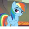 Rainbow | @MyLittlePony_bots 8