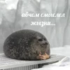 💡 Цитаты @sticker_emojibot 9