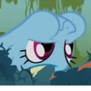 Rainbow | @MyLittlePony_bots 12