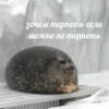 💡 Цитаты @sticker_emojibot 12