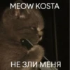 MEOW KOSTA @Shrifty_textbot 8