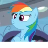 Rainbow | @MyLittlePony_bots 15