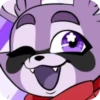 Rembly the raccoon 15