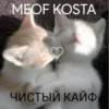 MEOW KOSTA @Shrifty_textbot 10