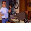 raccoon 15