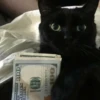 pinkycats 17