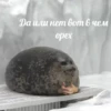 💡 Цитаты @sticker_emojibot 15