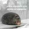 💡 Цитаты @sticker_emojibot 17