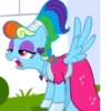 Rainbow | @MyLittlePony_bots 20