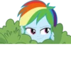 Rainbow Dash EG 21