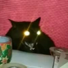 pinkycats 27