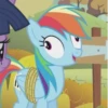 Rainbow | @MyLittlePony_bots 27