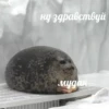 💡 Цитаты @sticker_emojibot 23