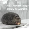 💡 Цитаты @sticker_emojibot 24