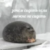 💡 Цитаты @sticker_emojibot 26