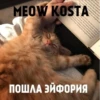 MEOW KOSTA @Shrifty_textbot 17