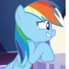 Rainbow | @MyLittlePony_bots 29