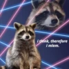 raccoon 28