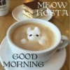 MEOW KOSTA @Shrifty_textbot 18