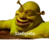 Shrek 🤢 6