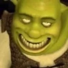 Shrek 🤢 7