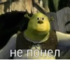 Shrek 🤢 8