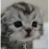 Больше @new_stickerbot 7