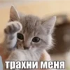 трахни меня