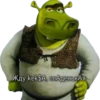Shrek 🤢 11