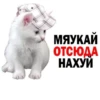 ки-сон @Shrifty_textbot 7