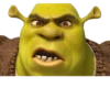 Shrek 🤢 12