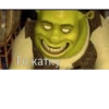 Shrek 🤢 13