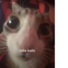 nice balls
