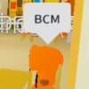 BCM