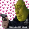 Shrek 🤢 15