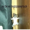 ки-сон @Shrifty_textbot 12