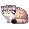 pixel-manul 12
