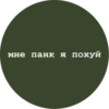 мне панк я похуй