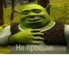 Shrek 🤢 16
