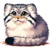 pixel-manul 16