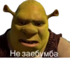 Shrek 🤢 19