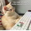 так, куда тут жмать чтобы заказать рыбов? 2