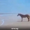 почему