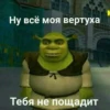 Shrek 🤢 21