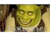 Shrek 🤢 22