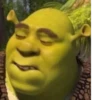Shrek 🤢 24